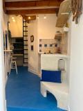 Afbeelding van de locatie