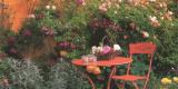 Afbeelding van de locatie