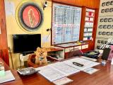 Afbeelding van de locatie