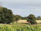 Afbeelding van de locatie