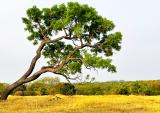Immagine del luogo