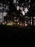 Location picture