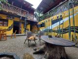 Location picture
