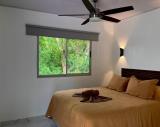 Imagen del lugar