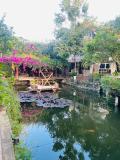 Afbeelding van de locatie