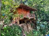 Imagen del lugar