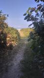 Location picture