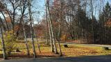 Location picture