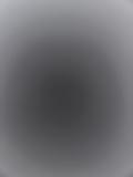 Bild des Orts