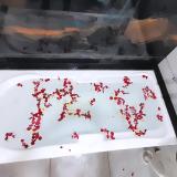 Immagine del luogo