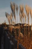 Location picture