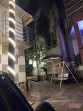 Location picture
