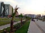 Location picture