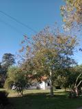 Imagen del lugar