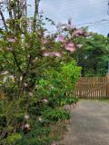Location picture