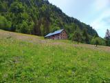 Bild des Orts