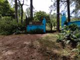 Location picture