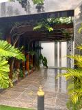 Imagen del lugar