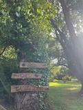 Location picture