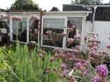 Afbeelding van de locatie