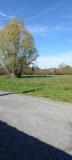 Bild des Orts