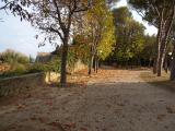 Location picture