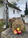Afbeelding van de locatie