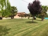 Immagine del luogo