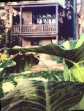 Location picture