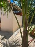Imagen del lugar