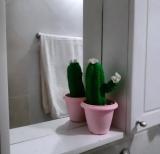 Bild des Orts