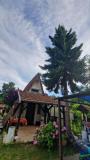 Location picture