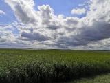 Imagen del lugar