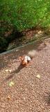 Bild des Orts
