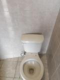 Immagine del luogo