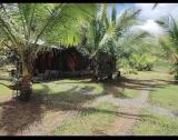 Location picture