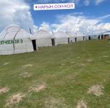 Imagen del lugar