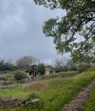 Location picture