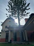 Location picture