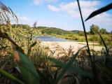 Bild des Orts