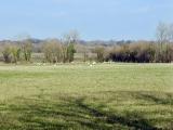 Afbeelding van de locatie