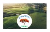 Imagem do local