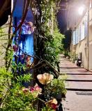 Afbeelding van de locatie