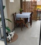 Imagen del lugar
