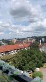 Bild des Orts