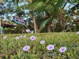 Location picture