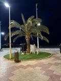 Imagem do local