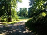 Afbeelding van de locatie