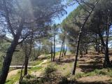 Location picture