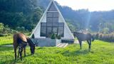 Afbeelding van de locatie